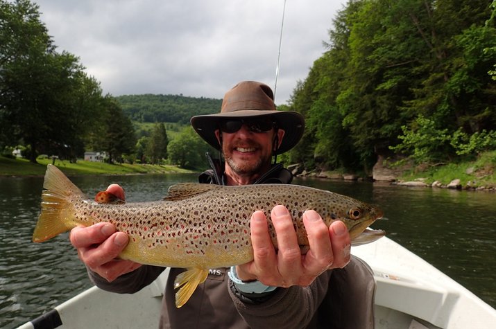 wild brown trout caught on a guided fly fishing tour on the west branch of the delaware river