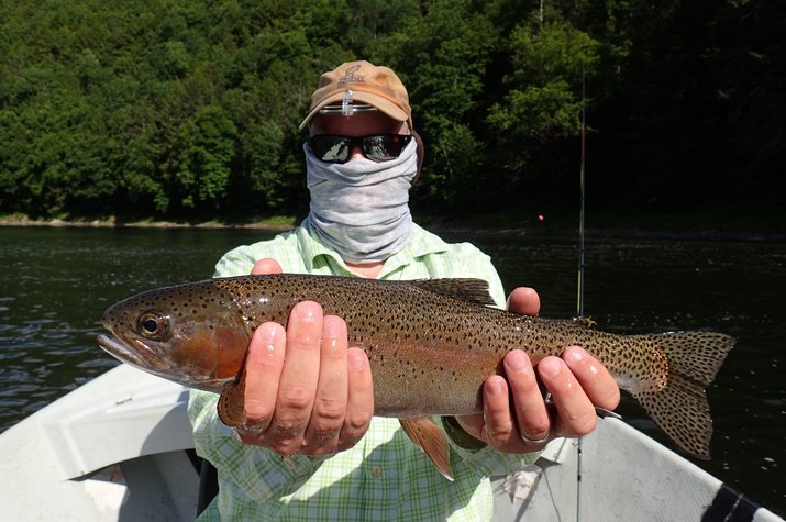 delaware river trout guided fly fishing new york and pennsylvania