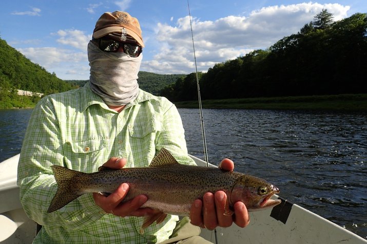 guided fly fishing new york delaware river and pennsylvania pocono mountains wild trout