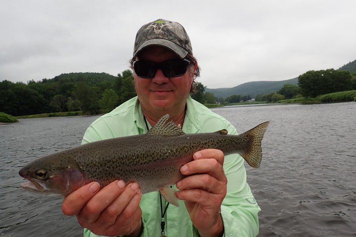 guided fly fishing new york and pennsylvania delaware river big trout