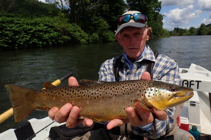 guided fly fishing tours on the upper delaware river for big brown trout with filingo fly fishing