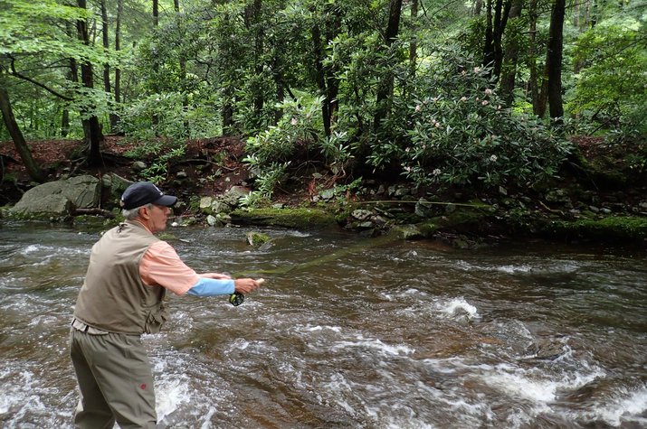 guided fly fishing tours in the pocono mountains for wild trout with jesse filingo of filingo fly fishing 