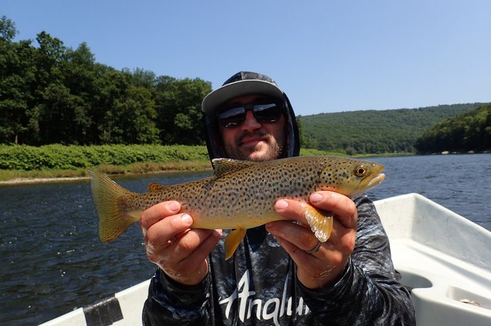 pennsylvania fly fishing guide upper delaware river fishing guide filingo fly fishing