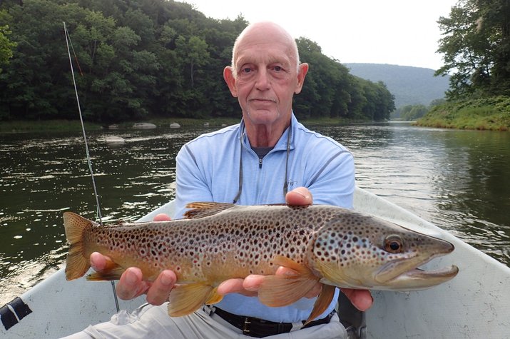 guided fly fishing new york west branch delaware river with jesse filingo big brown trout