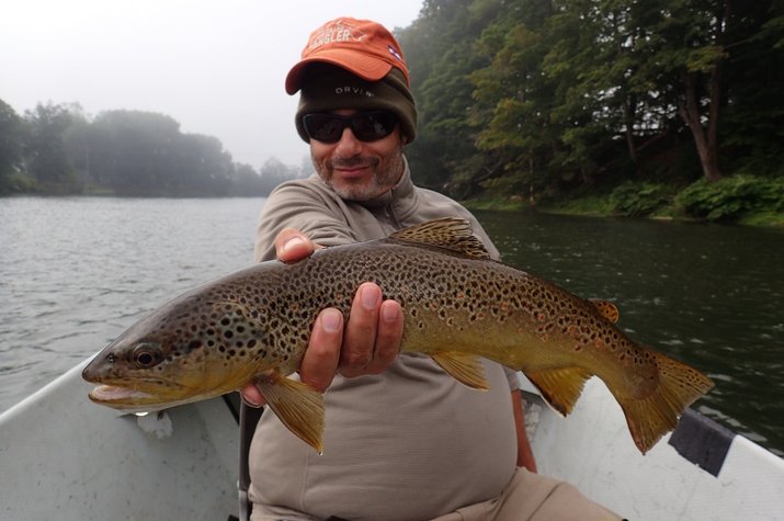 new york upper delaware river guide filingo fly fishing delaware river