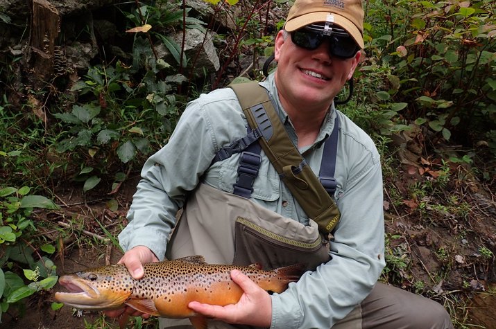 large brown trout in the pocono mountains on a guided fly fishing tour with filingo fly fishing and jesse filingo