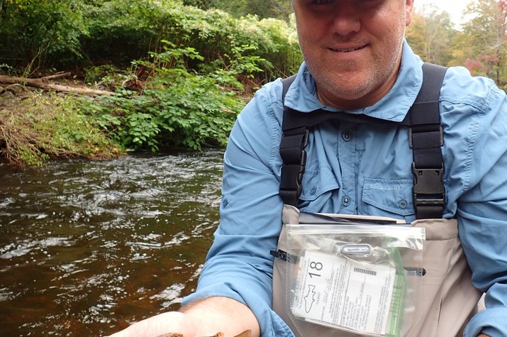 fly fishing the pocono mountains with jesse filingo of filingo fly fishing for wild trout
