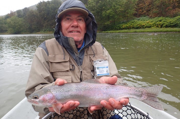 upper delaware river guided fly fishing tours with jesse filingo of filingo fly fishing