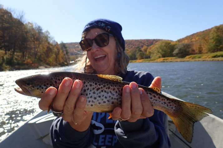 guided fly fishing upper delaware river west branch delaware river brown trout filingo fly fishing