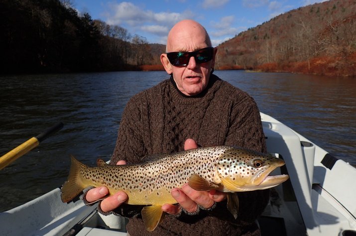 guided fly fishing tours on the upper delaware river and west branch delaware river for brown trout with filingo fly fishing