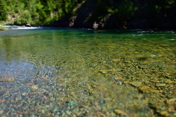 montana fly fishing with jesse filingo of filingo fly fishing for wild brown trout (390)