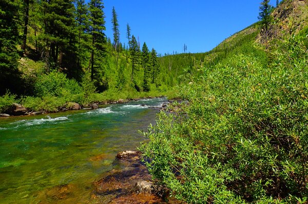 fly fishing montana with jesse filingo of filingo fly fishing (393)