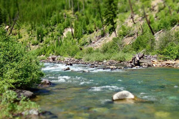 fly fishing in montana with jesse filingo of filingo fly fishing for wild trout (394)