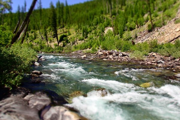 montana fly fishing with jesse filingo (395)