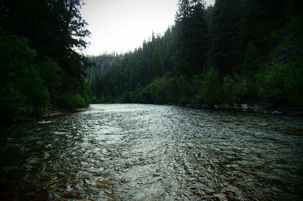 fly fishing montana with jesse filingo of filingo fly fishing (398)