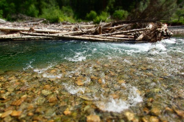 fly fishing montana with jesse filingo of filingo fly fishing (403)