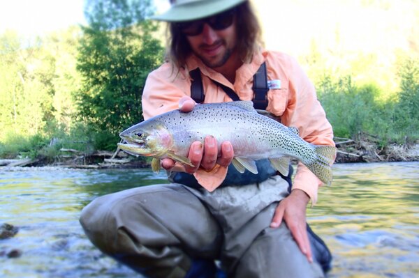 fly fishing montana with jesse filingo of filingo fly fishing (406)