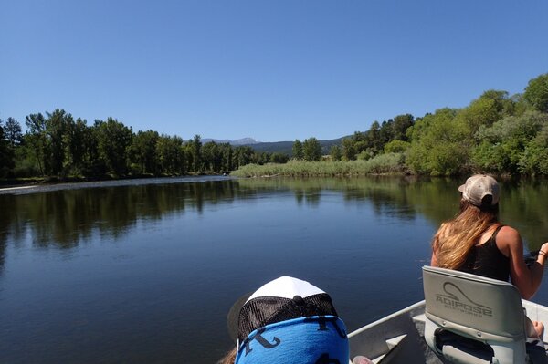 guided fly fishing for trout  pocono mountains pennsylvania (1184)