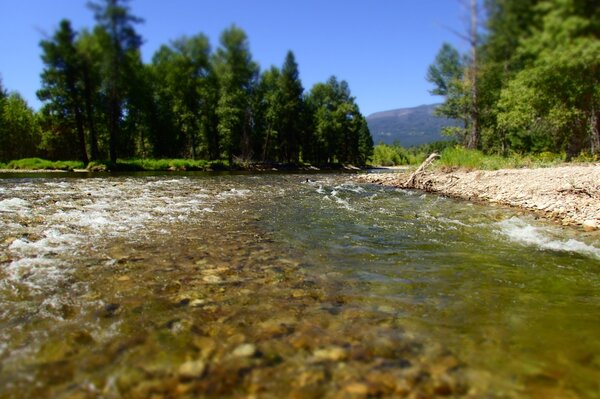 upper delaware river trout guided fly fishing new york (1181)