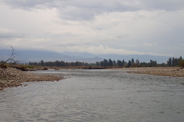 guided fly fishing in montana with jesse filingo of filingo fly fishing (923)