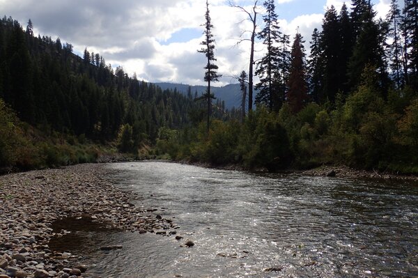 guided fly fishing tours in montana with jesse filingo of filingo fly fishing (925)