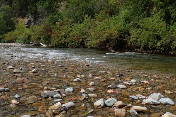 montana fly fishing with jesse filingo of filingo fly fishing (928)