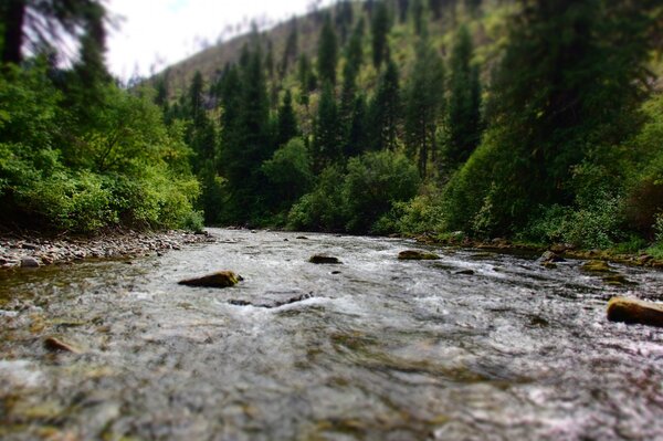 fly fishing trips to montana for wild trout with jesse filingo of filingo fly fishing (931)