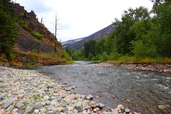 montana fly fishing with jesse filingo of filingo fly fishing (934)