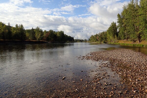 guided fly fishing in montana for wild trout with jesse filingo (936)