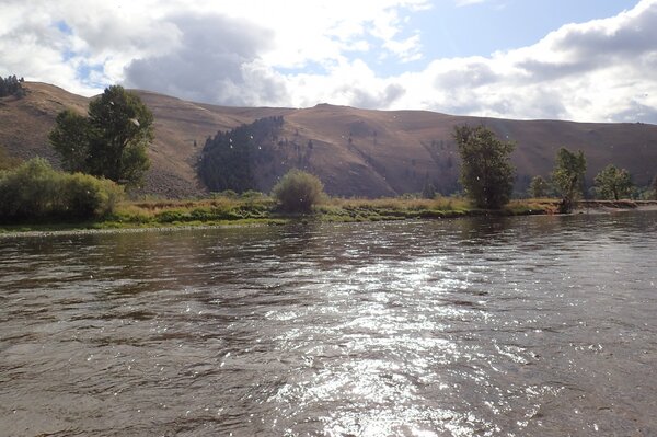 montana fly fishing with jesse filingo of filingo fly fishing (937)