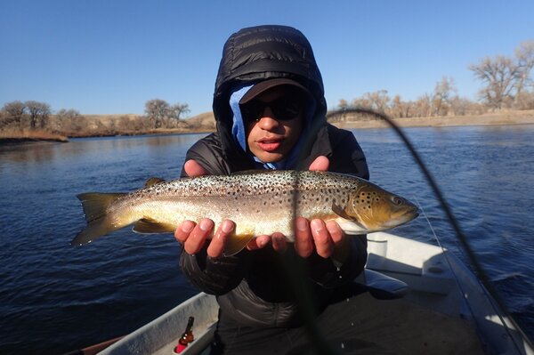 guided fly fishing west branch delaware river upper delaware river new york filingo fly fishing (1296)