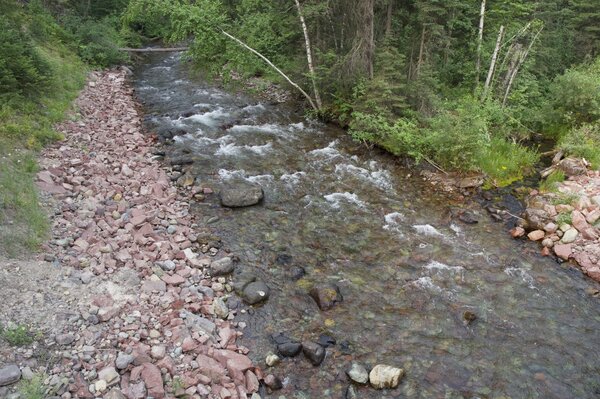 guided fly fishing trips pocono mountains pennsylvania new york upper delaware river trout fishing guide jesse filingo (1430)