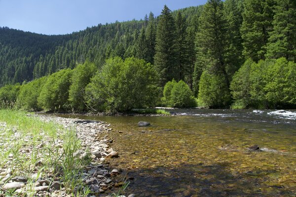 fly fishing guide jesse filingo guided fly fishing montana (1638)