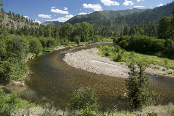 western montana guided fly fishing (1642)