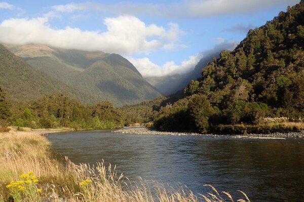 upper delaware river guided fly fishing tours with filingo fly fishing for trout (716)