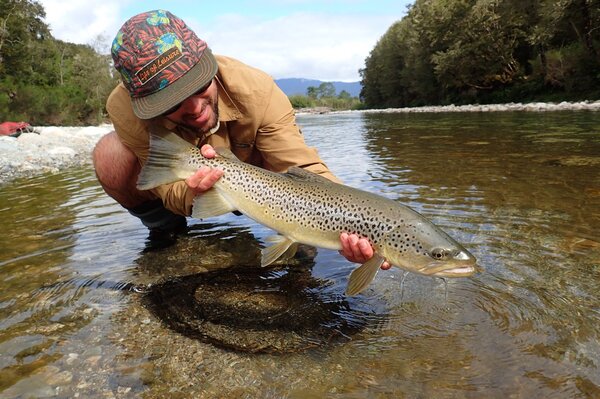 fly fishing the upper delaware river for wild trout with filingo fly fishing (733)