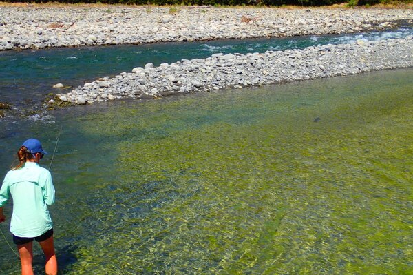 guided fly fishing tours on the delaware river for wild trout with filingo fly fishing (743)