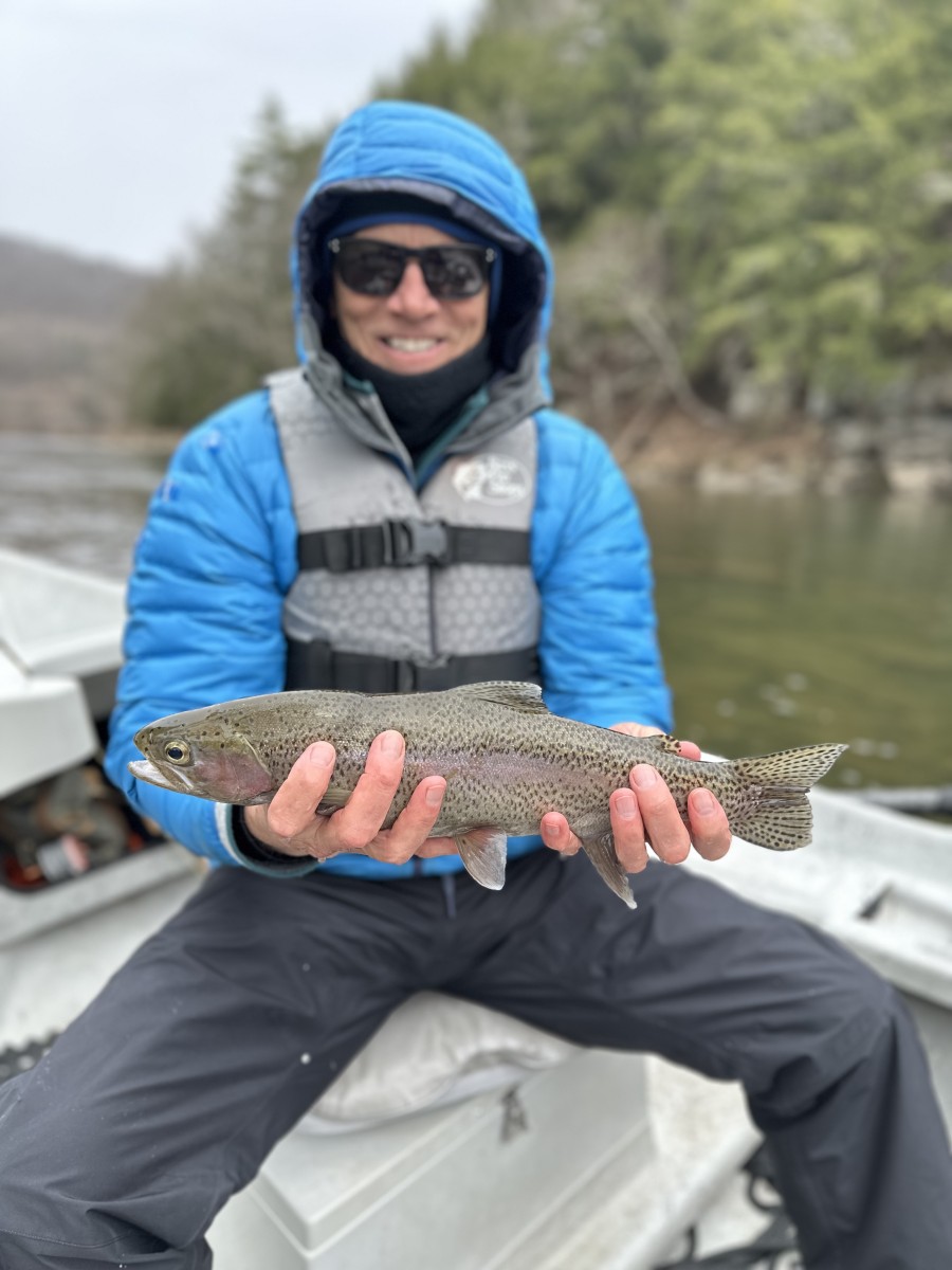 west branch delaware river wild rainbow trout