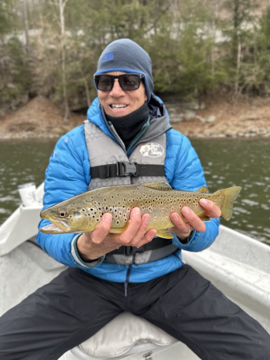 west branch delaware river brown trout