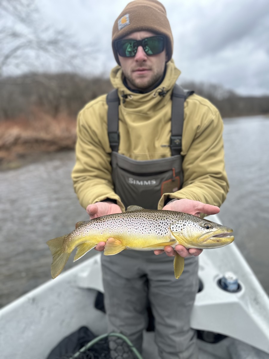 guided fly fishing west branch delaware river