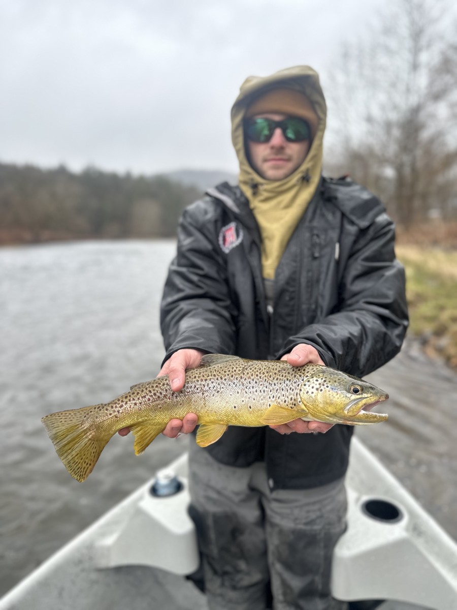 upper delaware river fly fishing guide