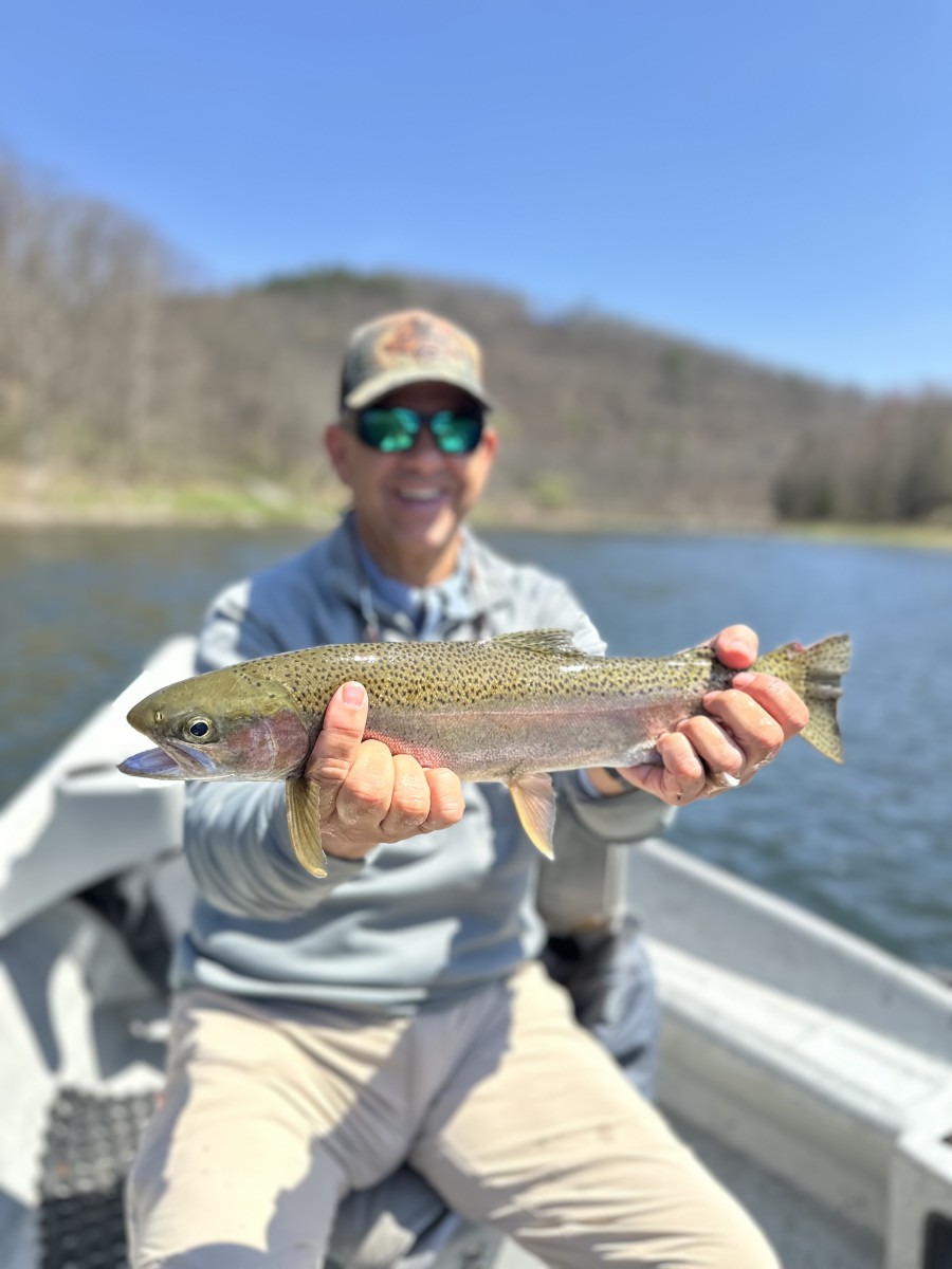 wild delaware river rainbow trout with fly fishing guide jesse filingo