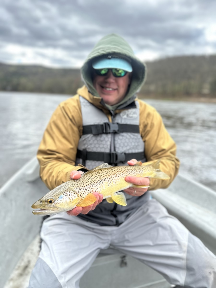 delaware river wild brown trout