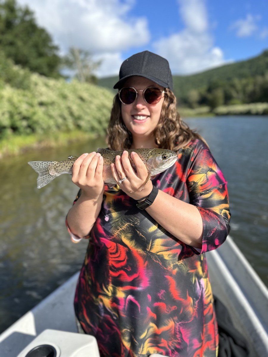 fly fishing west branch delaware river trout