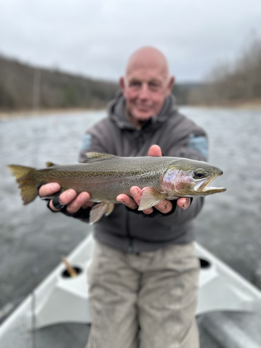 fly fishing west branch delaware river trout