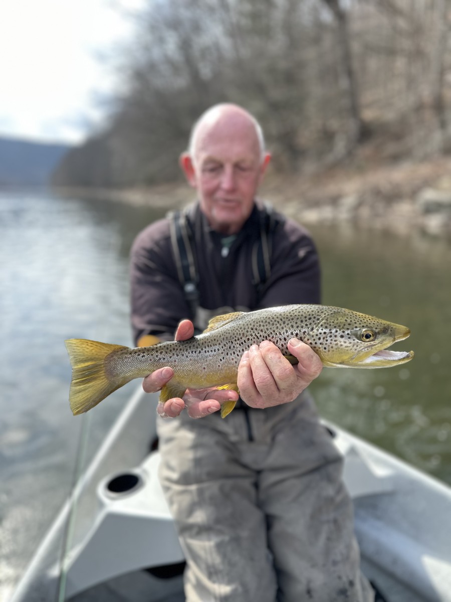 upper delaware river fly fishing wild trout