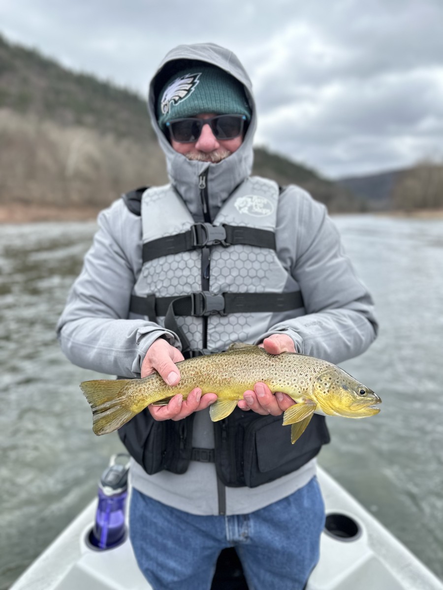 fly fishing guide delaware river wild trout